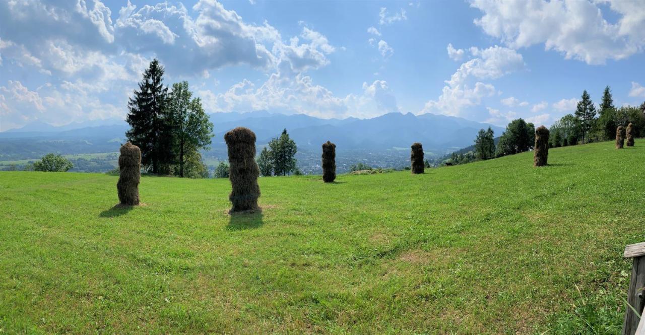 Homestay Dolina Harenda Zakopane